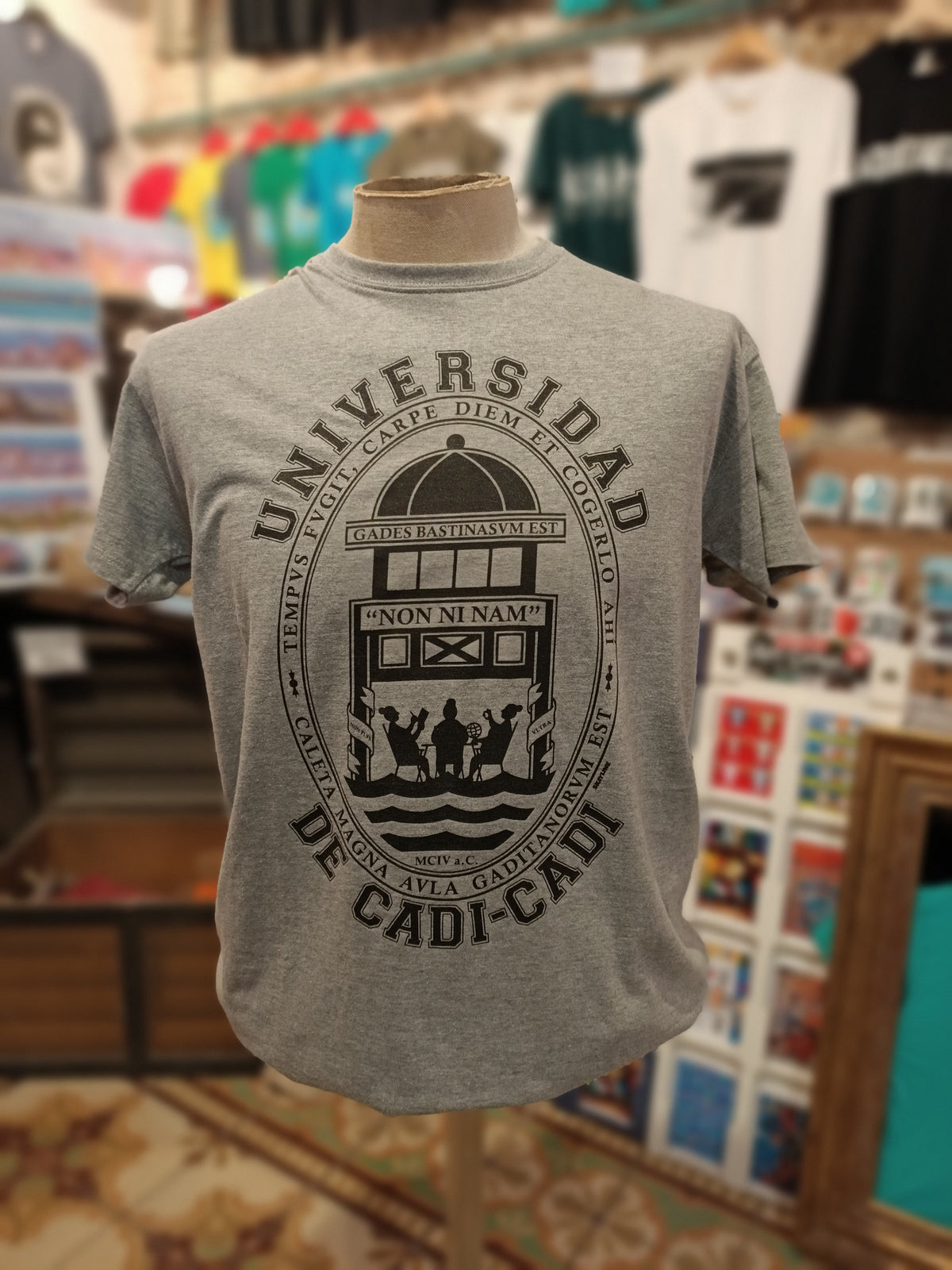 Camiseta "UNIVERSIDAD DE CADI-CADI" (GRIS)